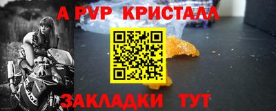 спиды Ярославль