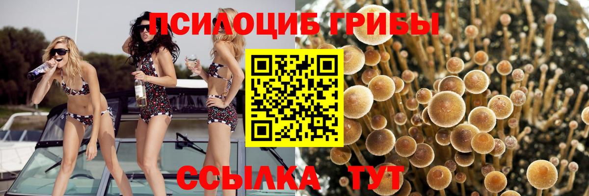 Галлюциногенные грибы Psilocybine cubensis  Вход с VPN  даркнет сайт  Грязи 